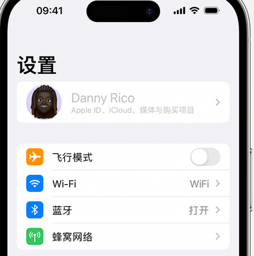 射洪appleID维修服务iPhone设置中Apple ID显示为灰色无法使用 