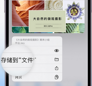 射洪apple维修中心分享iPhone文件应用中存储和找到下载文件