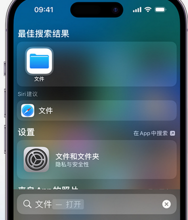 射洪apple维修中心分享iPhone文件应用中存储和找到下载文件 