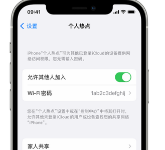 射洪apple服务站点分享iPhone上个人热点丢失了怎么办 