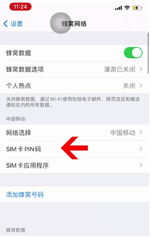 射洪苹果14维修网分享如何给iPhone14的SIM卡设置密码 