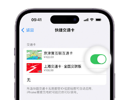 射洪apple维修点分享iPhone上更换Apple Pay快捷交通卡手绘卡面 