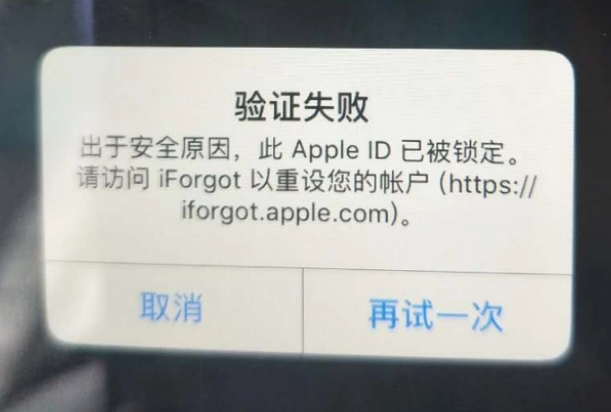 射洪iPhone维修分享iPhone上正常登录或使用AppleID怎么办 