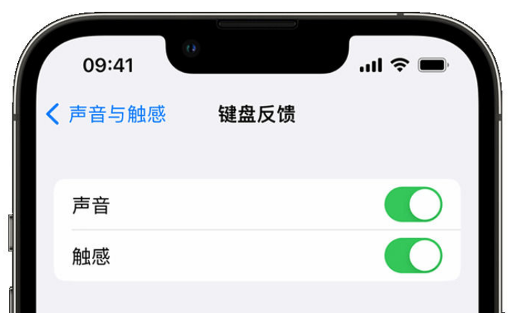 射洪苹果手机维修分享iPhone 14触感键盘使用方法 