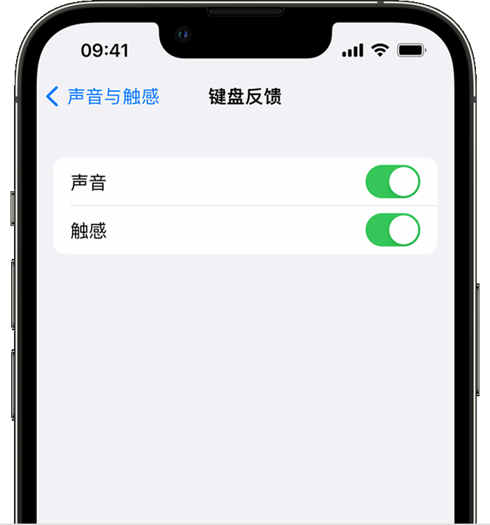 射洪苹果14维修店分享如何在 iPhone 14 机型中使用触感键盘 