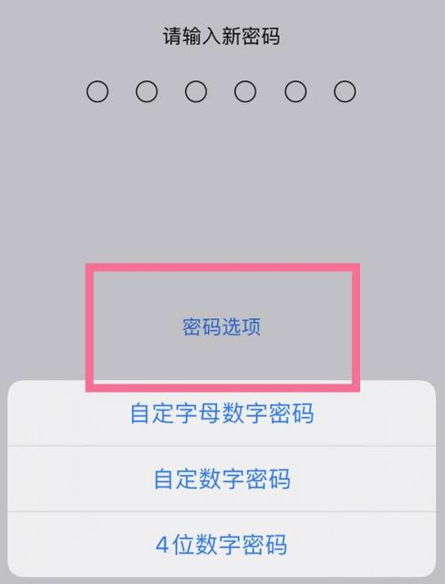 射洪苹果14维修分享iPhone 14plus设置密码的方法 