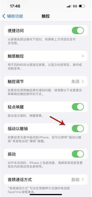 射洪苹果手机维修分享iPhone手机如何设置摇一摇删除文字 